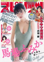 [Weekly Big Comic Spirits] 馬場ふみか 2017年No.09 写真杂志