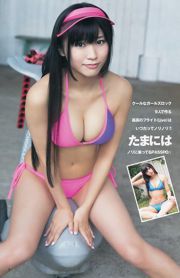 Rino Sashihara Ai Negishi Seika Taketomi [Weekly Young Jump] 2013 No.39 Fotografia